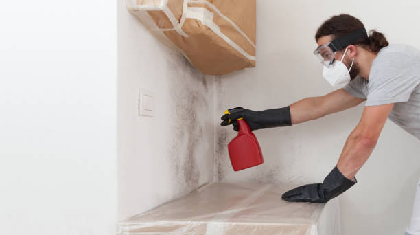 Professional Mold Removal technician working in Rougemont, NC
